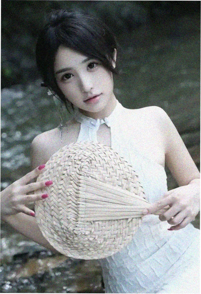 春天的故事 电视剧 2009 法国